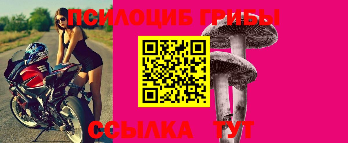 Псилоцибиновые грибы прущие грибы Кумертау